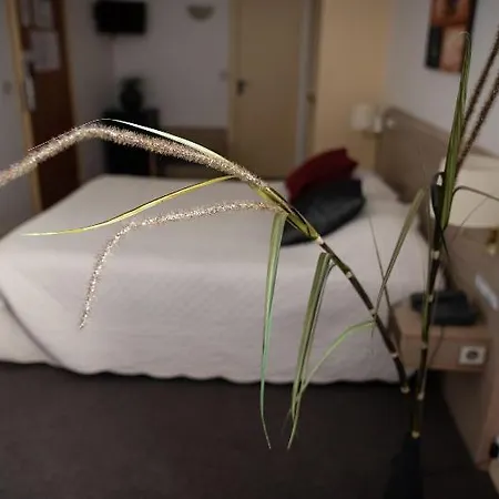 Grand Du Nord Hotell Vesoul